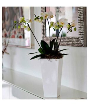 Cono Cuadrado Alto Nano