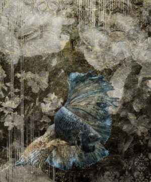 The Sisters: Fuji Gold