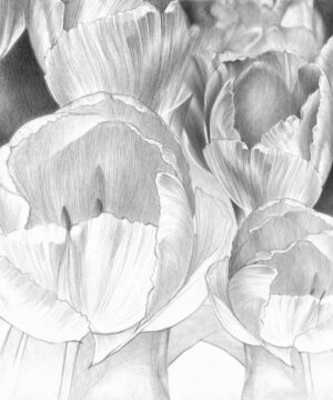 Cristina Iotti: Stillness