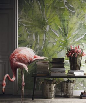 Marco Fontana: Fitzcarraldo