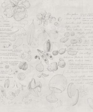 Margherita Leoni: Seminami