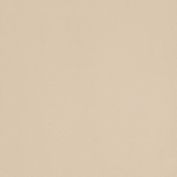 ICON - immagine 12