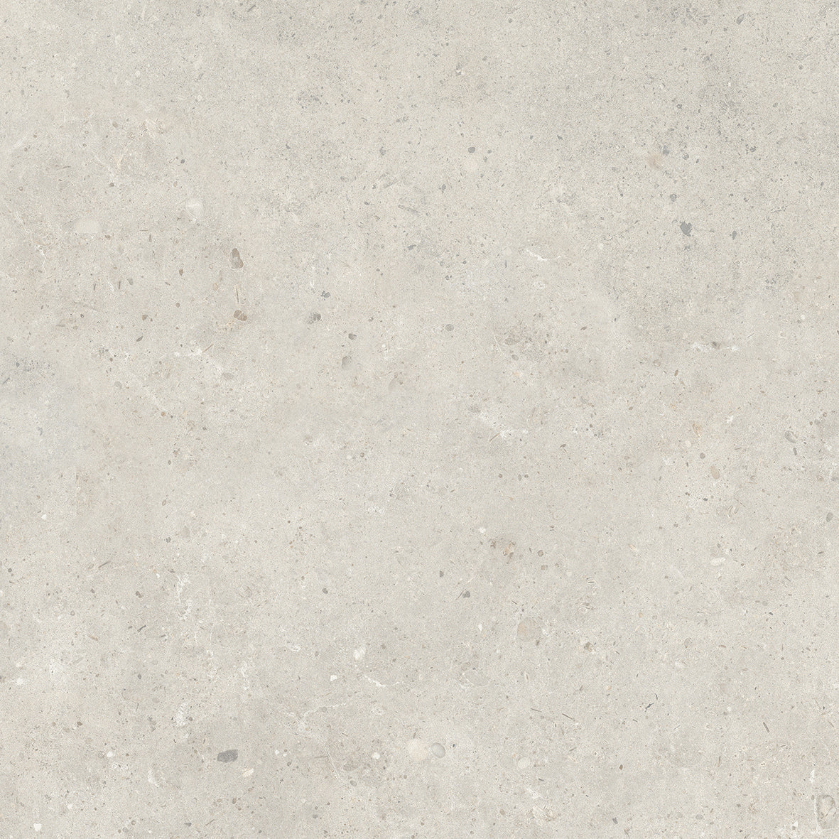 BRERA - immagine 6