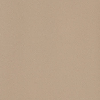 ICON - immagine 11