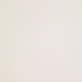 ICON - immagine 8