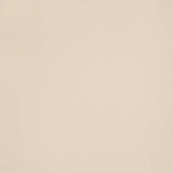ICON - immagine 9