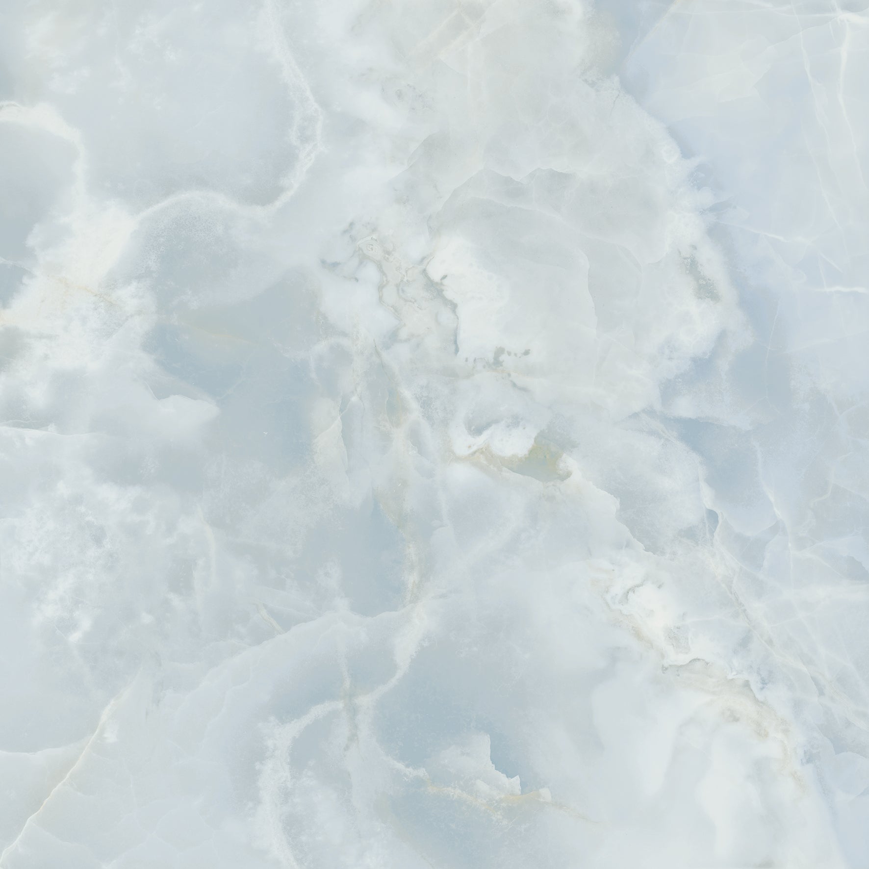 ONICI - immagine 7