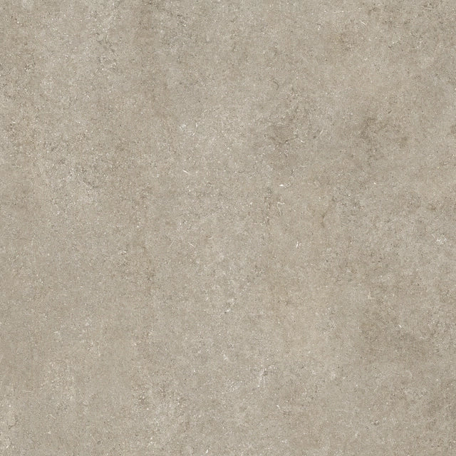 SENSI - immagine 22