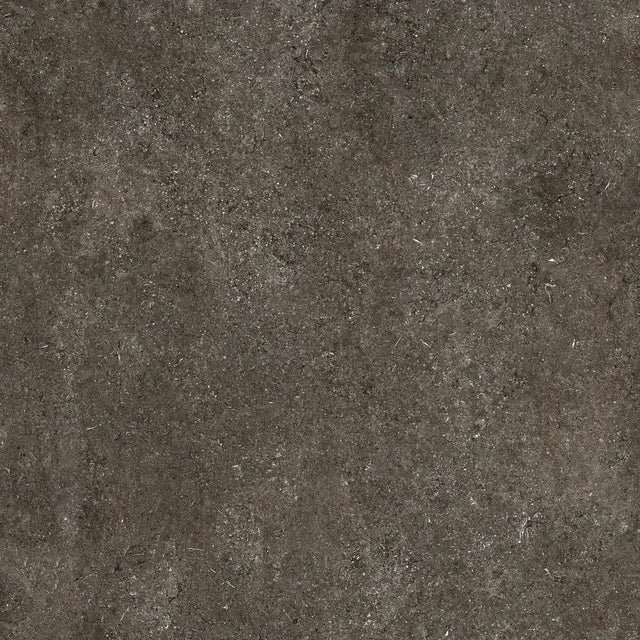 SENSI - immagine 34