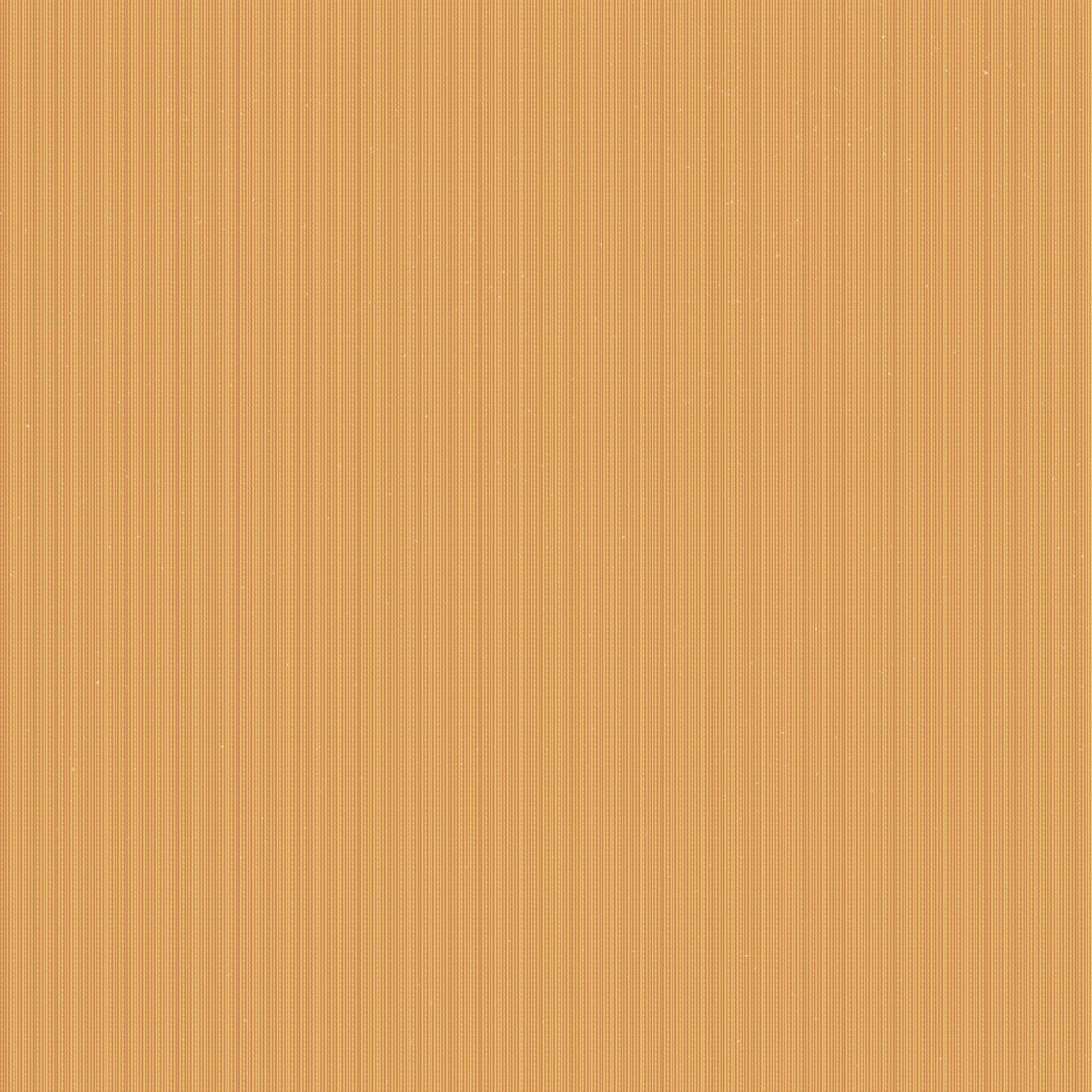 MOTIF - immagine 7