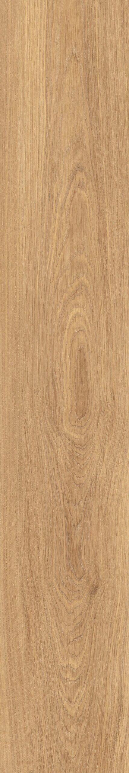 OAKY LIFE - immagine 15