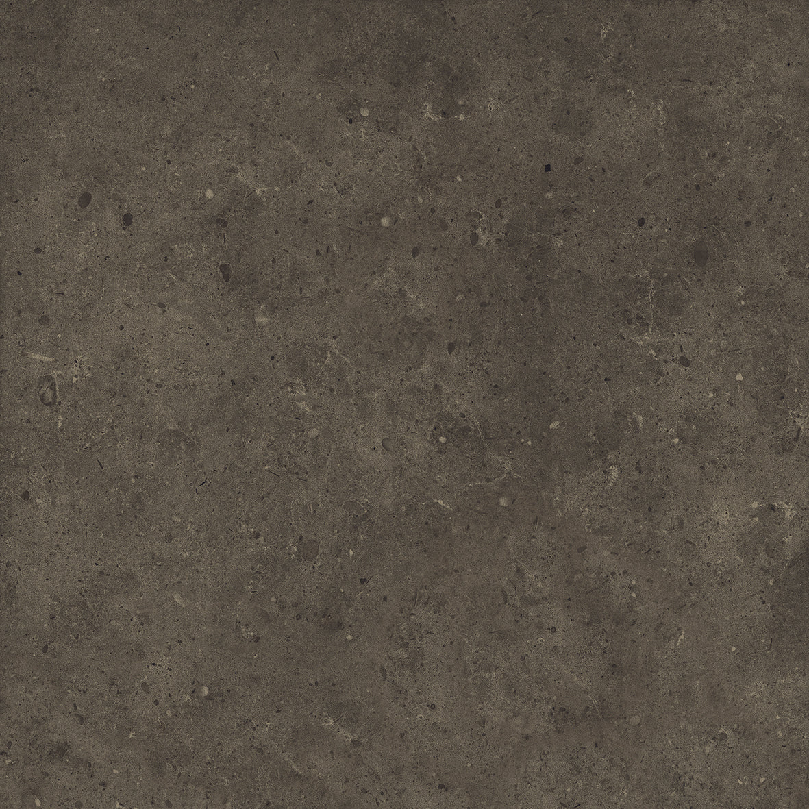 BRERA - immagine 8