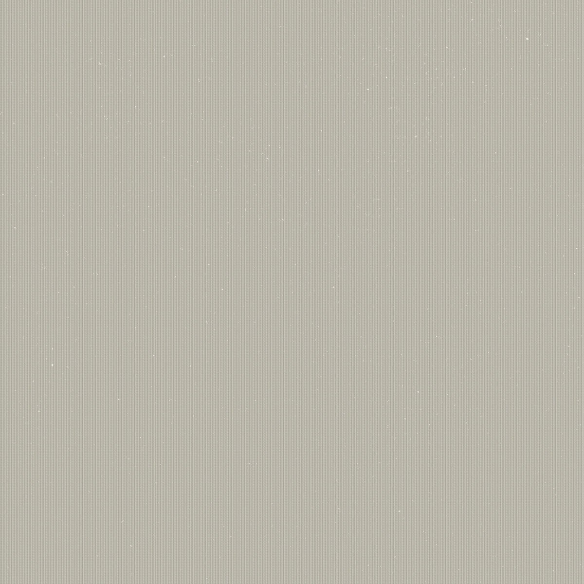 MOTIF - immagine 10