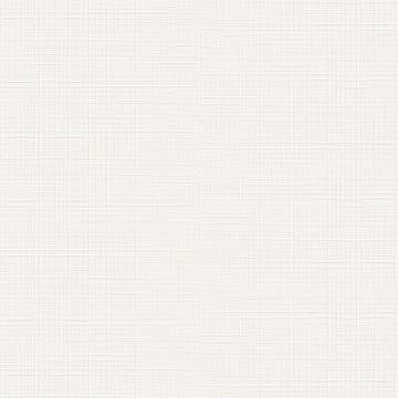 LILYSUITE - immagine 16