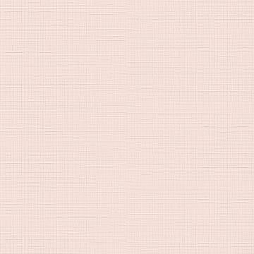 LILYSUITE - immagine 14