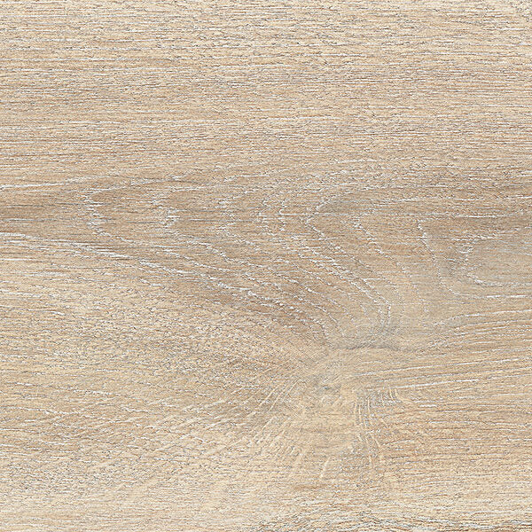 EVOQUE - immagine 11
