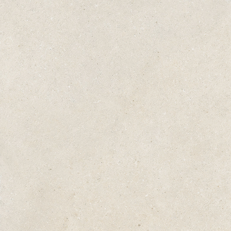 LITHORA - immagine 5