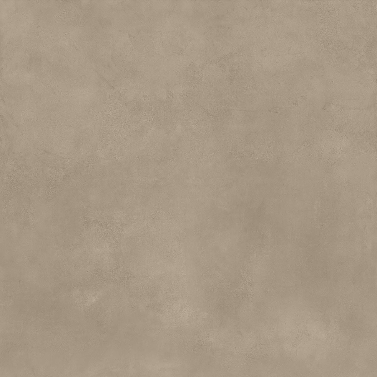 MULTIFORME DUNE - immagine 5