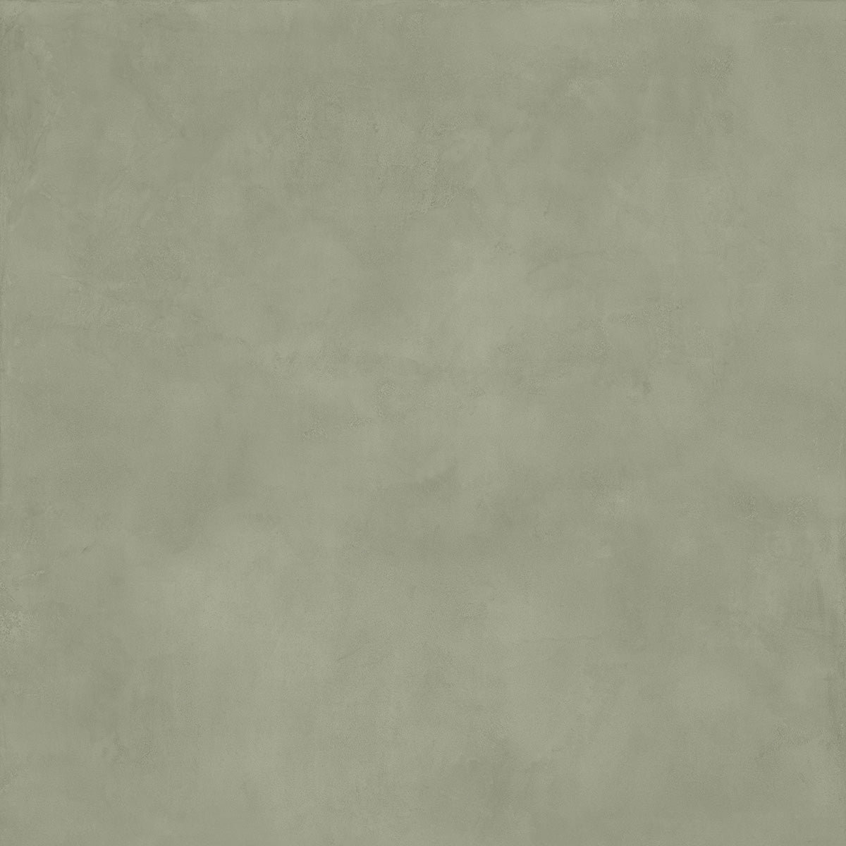 MULTIFORME - immagine 9