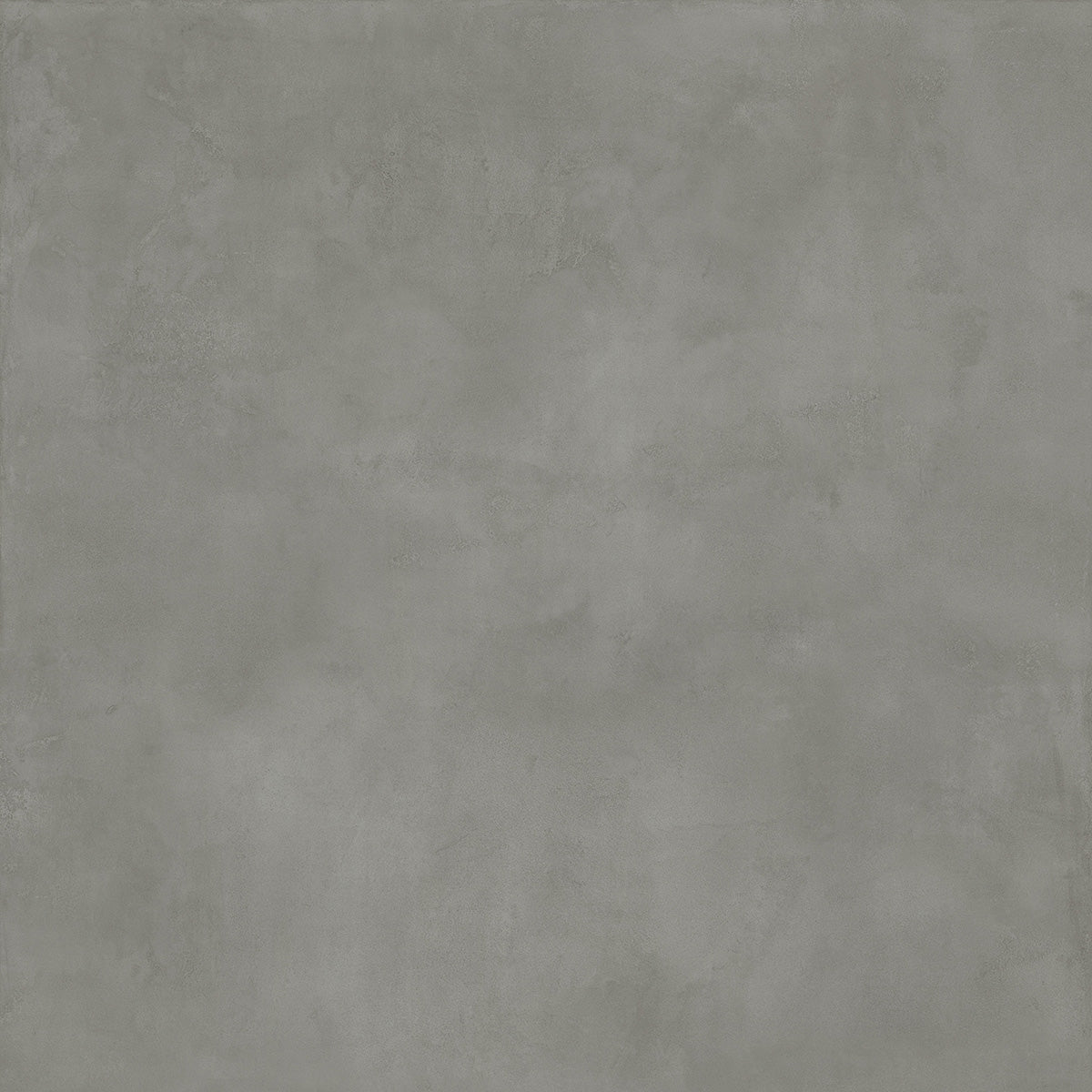 MULTIFORME - immagine 8