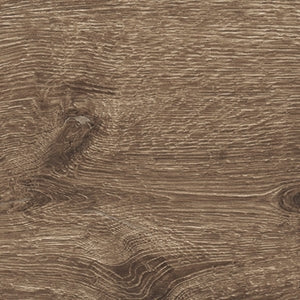 ALNUS - immagine 8
