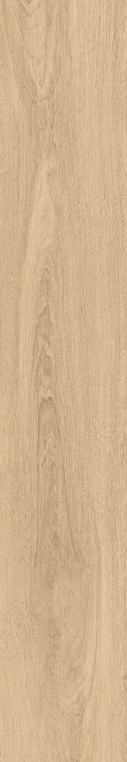 OAKY LIFE - immagine 14