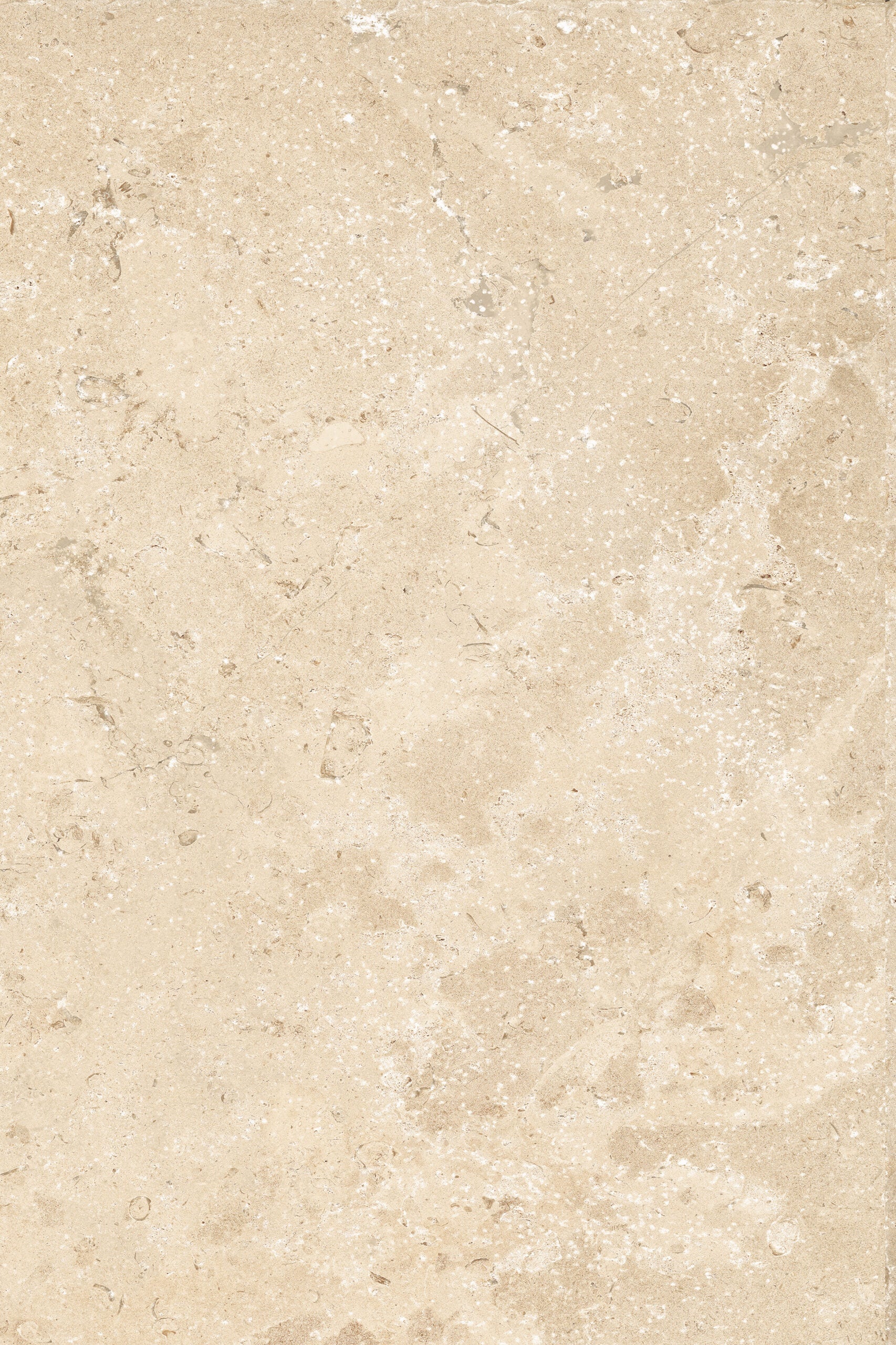 STONE LAB - immagine 13