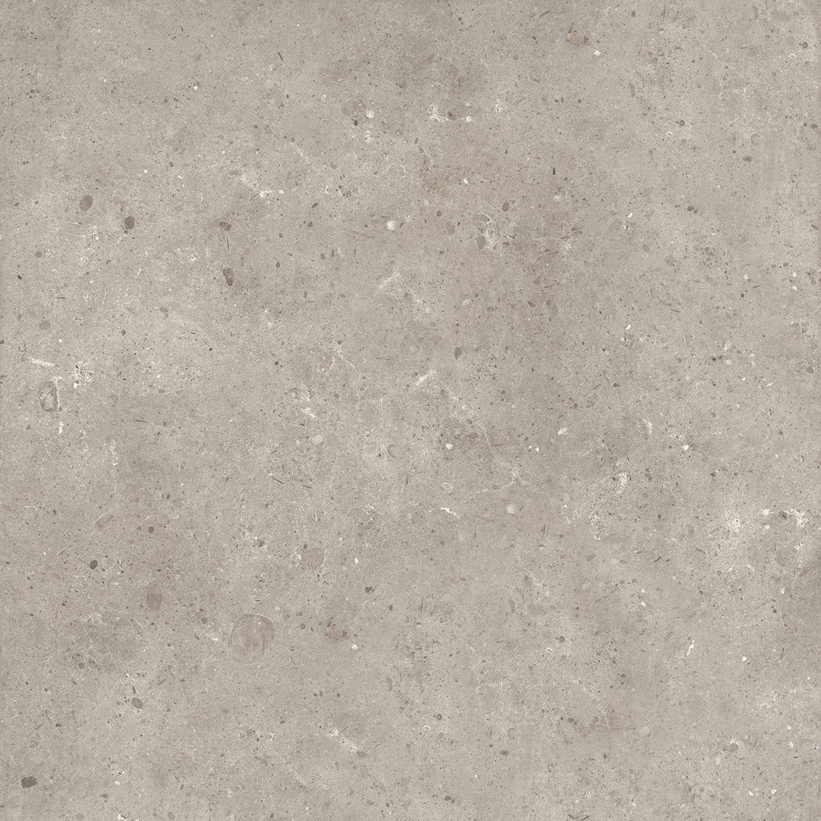 BRERA - immagine 7