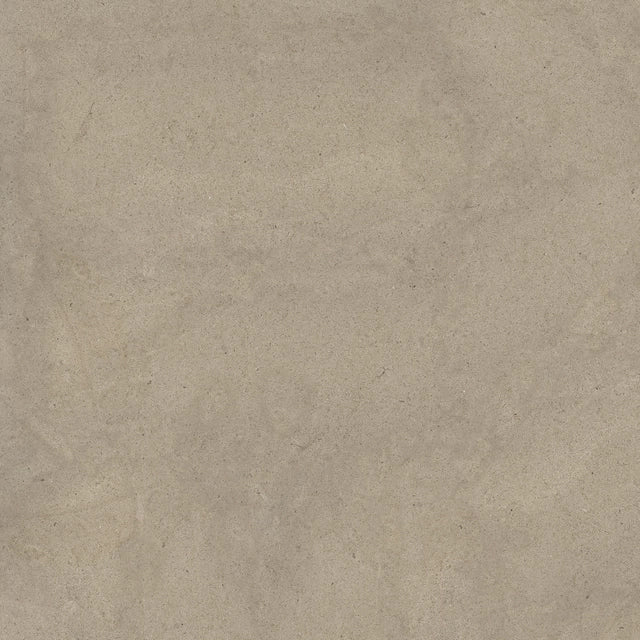 SENSI - immagine 23