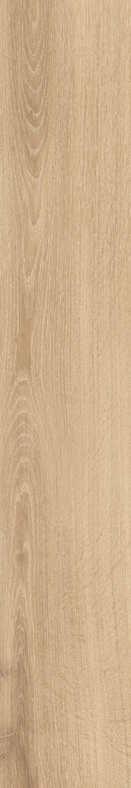 OAKY LIFE - immagine 13
