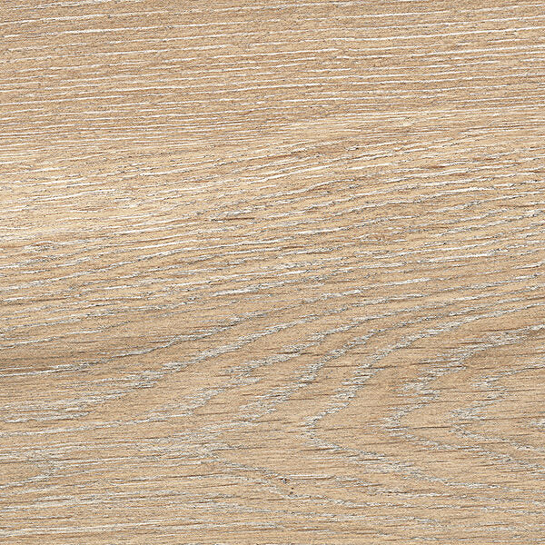 EVOQUE - immagine 10