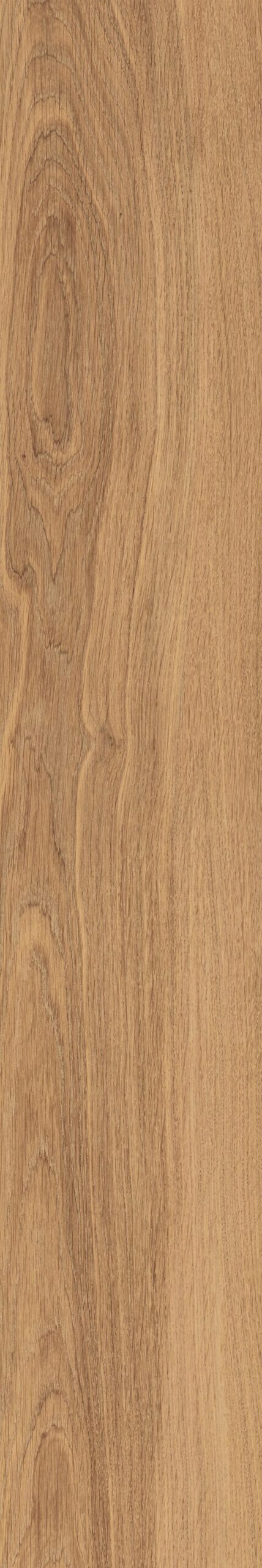OAKY LIFE - immagine 16