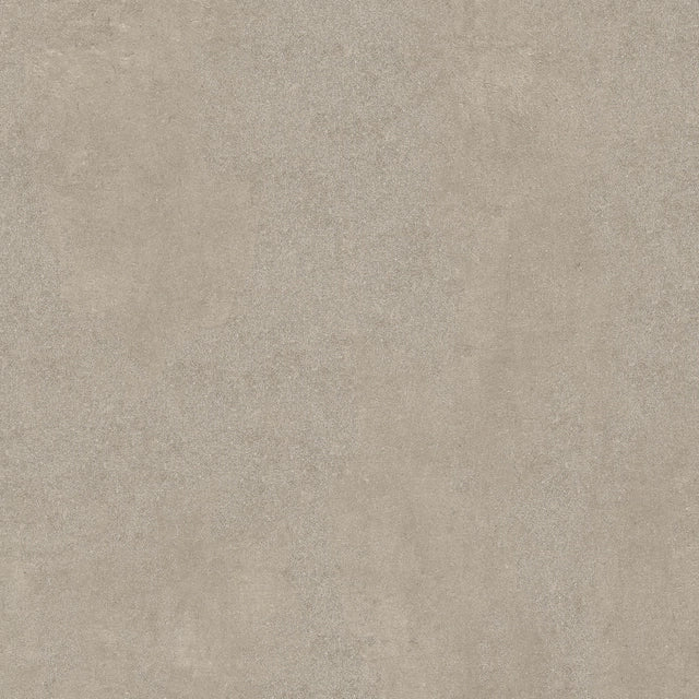 SENSI - immagine 21