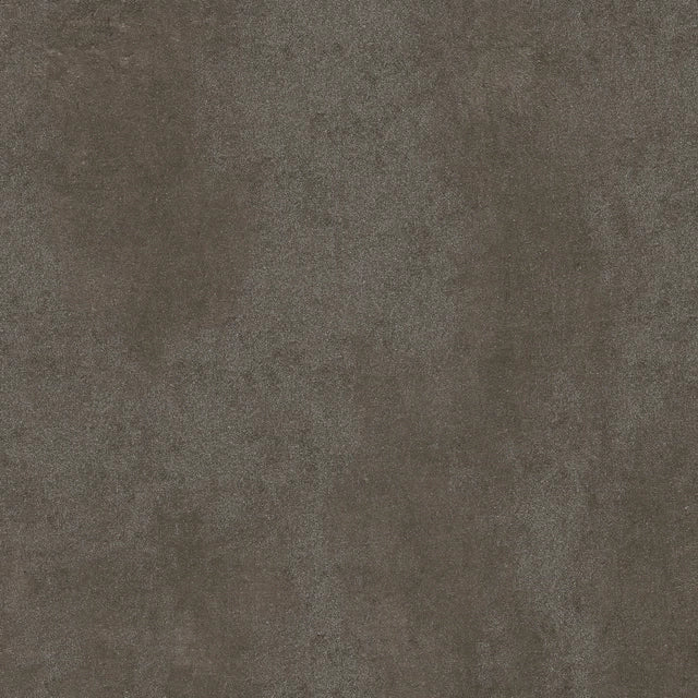 SENSI - immagine 33