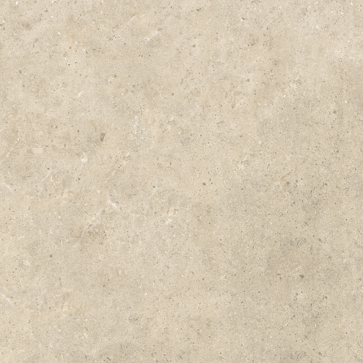 BRERA - immagine 9