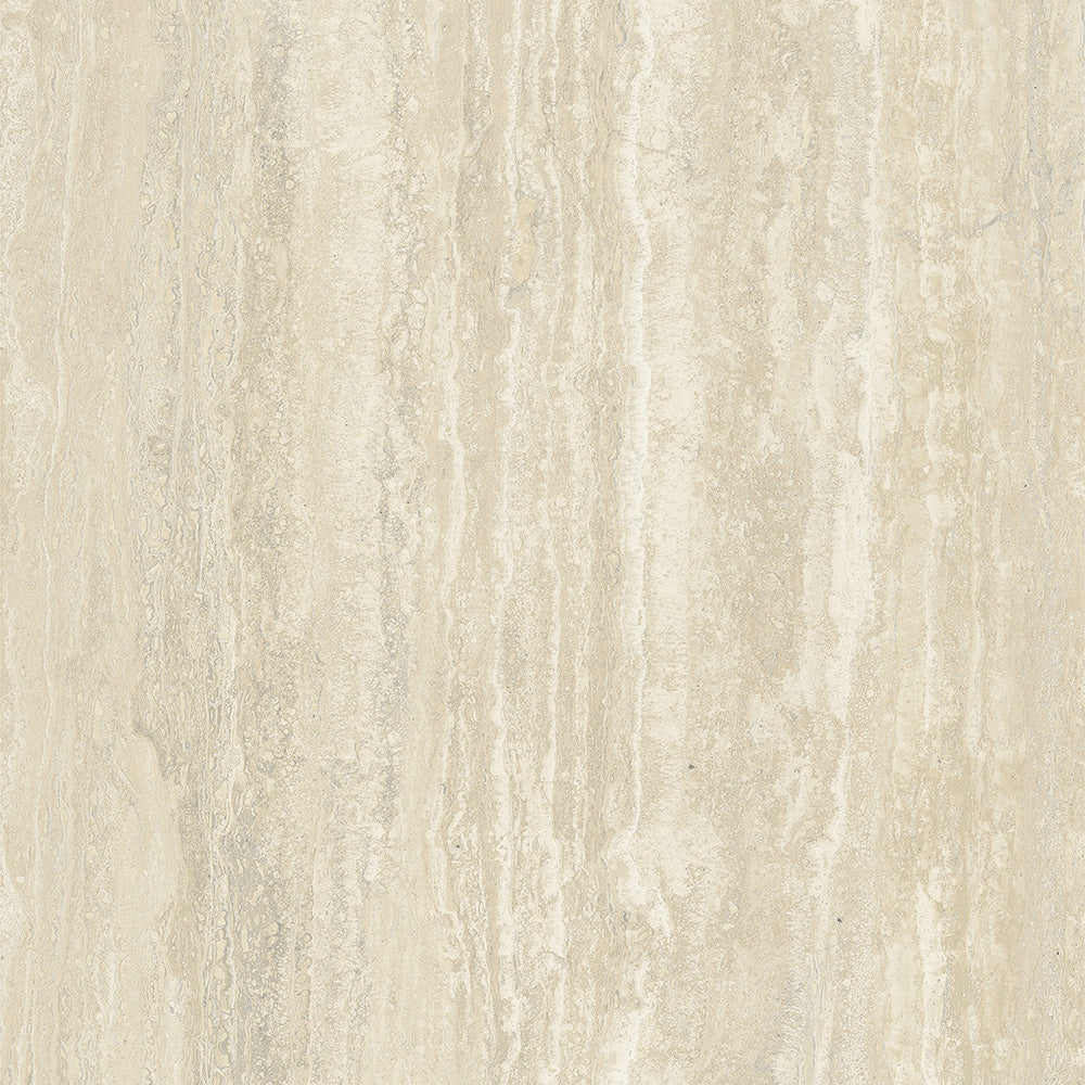 SCULTOREA DELICATA - immagine 5