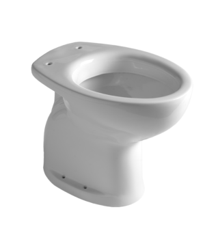 TERZA ETA WC a Terra