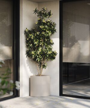 Studio Planters Angular Pot Fioriere