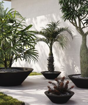 Studio Planters Centro