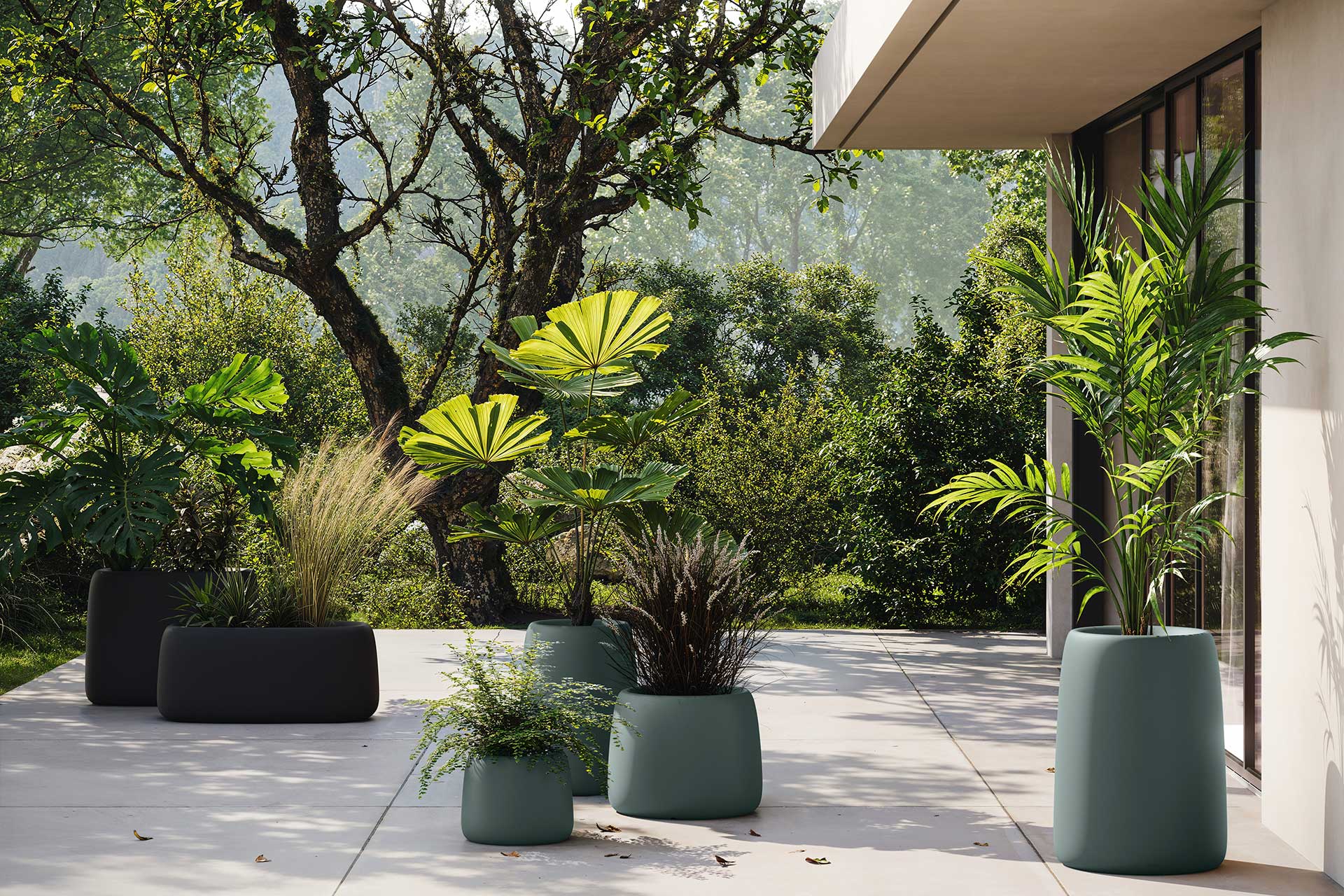 Studio Planters Organic Redonda