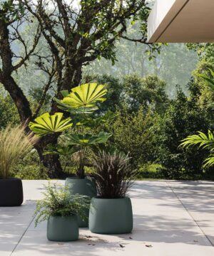 Studio Planters Organic Jardinera