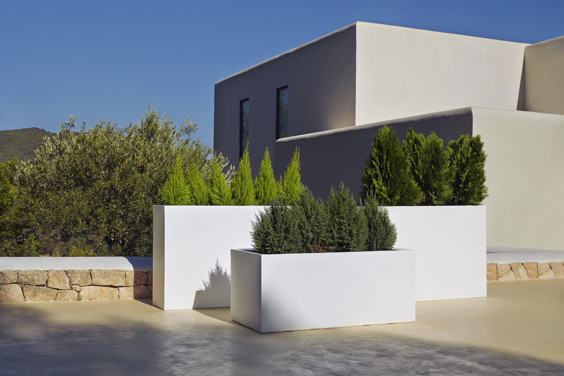 Studio Planters Wall - immagine 2