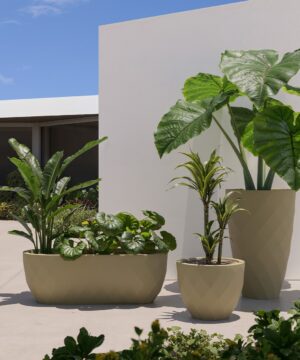 Vases Fioriere