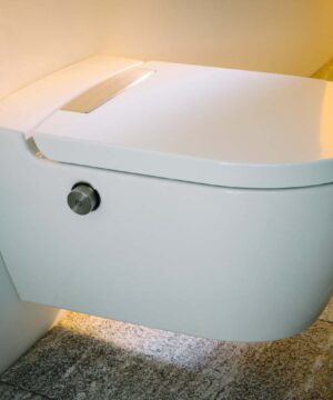 Cleanet Auria