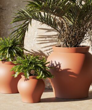 Venus Planters