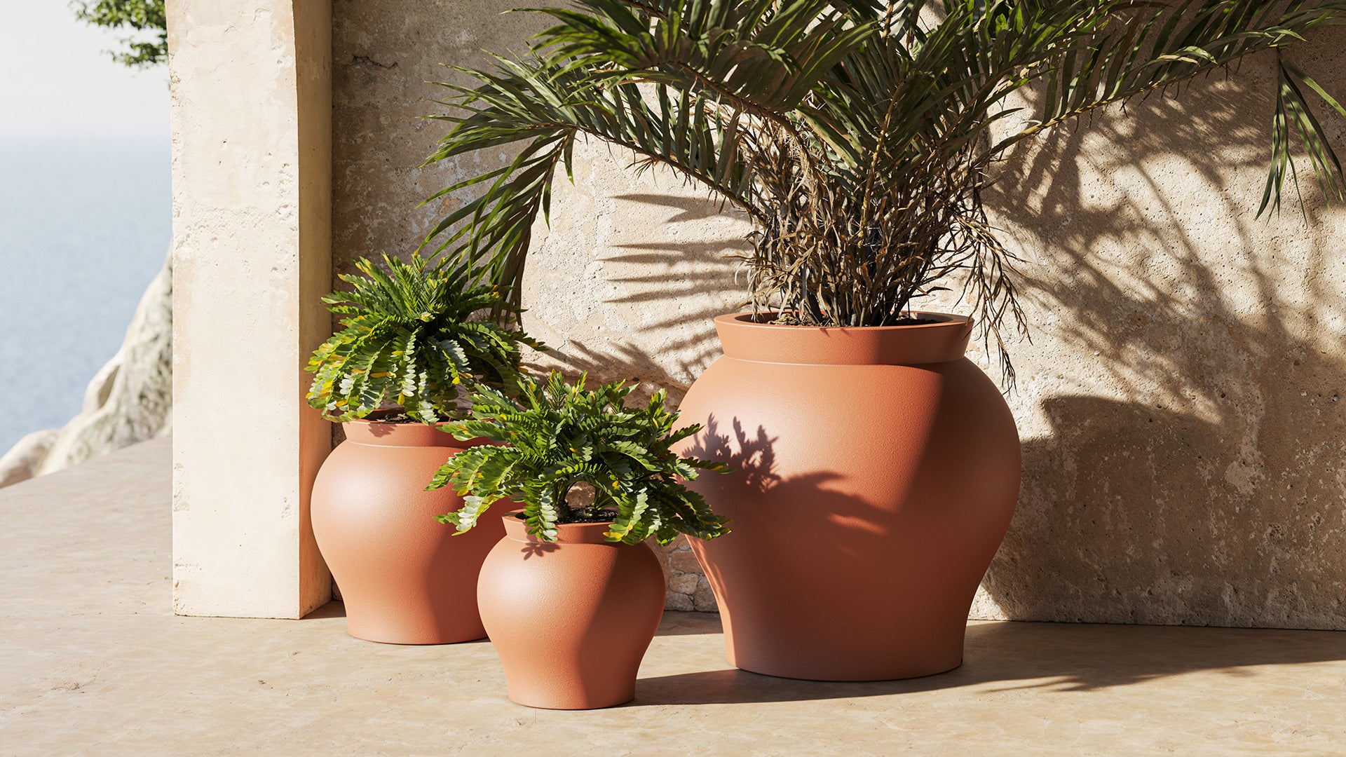 Venus Planters