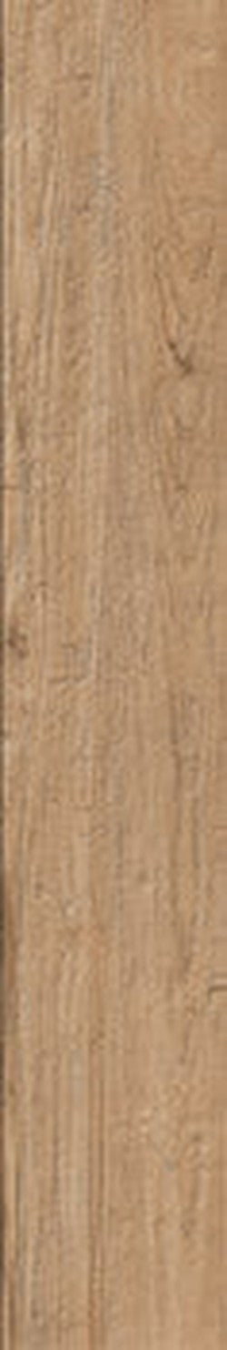 LEGNO DEL NOTAIO - immagine 6
