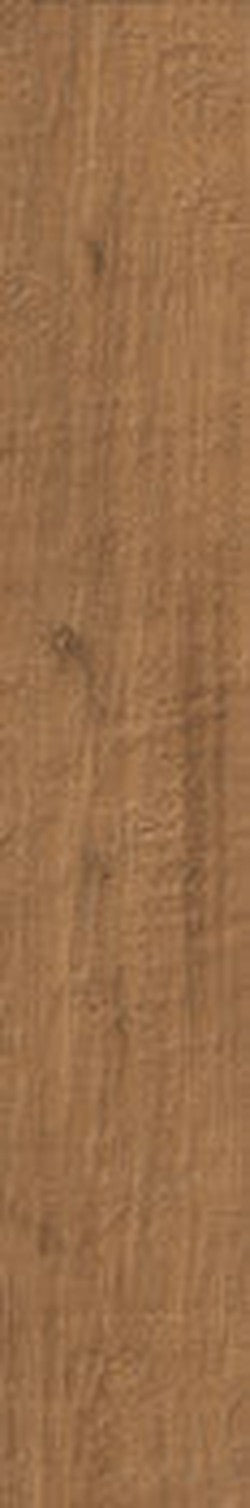 LEGNO DEL NOTAIO - immagine 7
