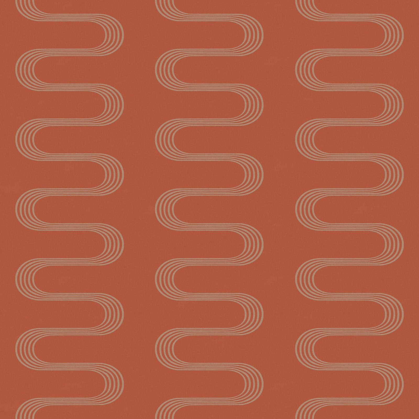 I FILATI DI REX - immagine 36