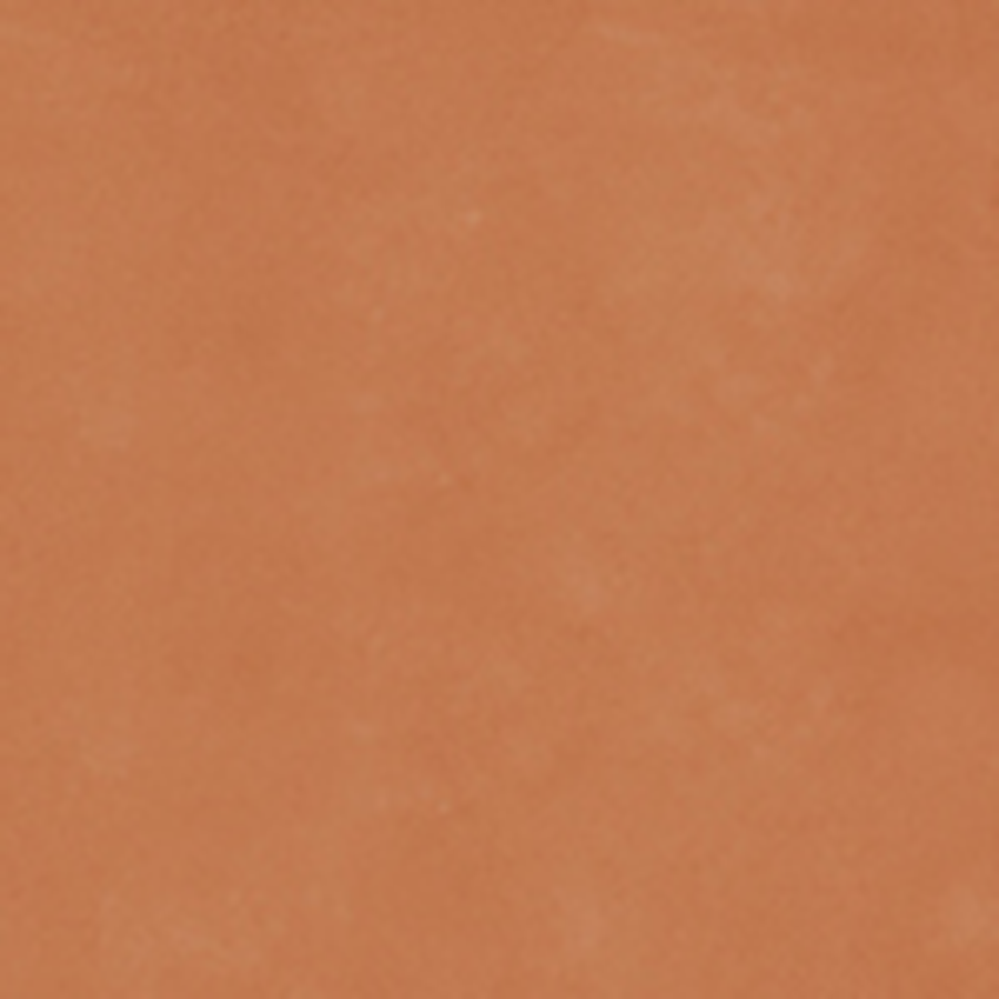 RETINA - immagine 6